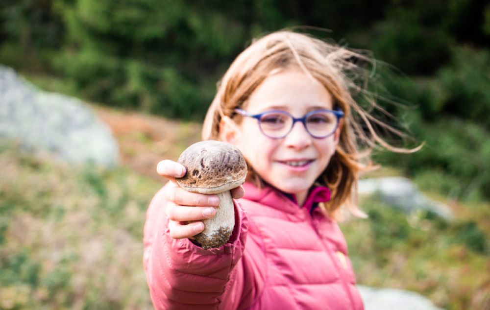 que faire en auvergne